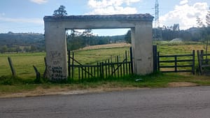 Lee más sobre el artículo Breve oda al caminar