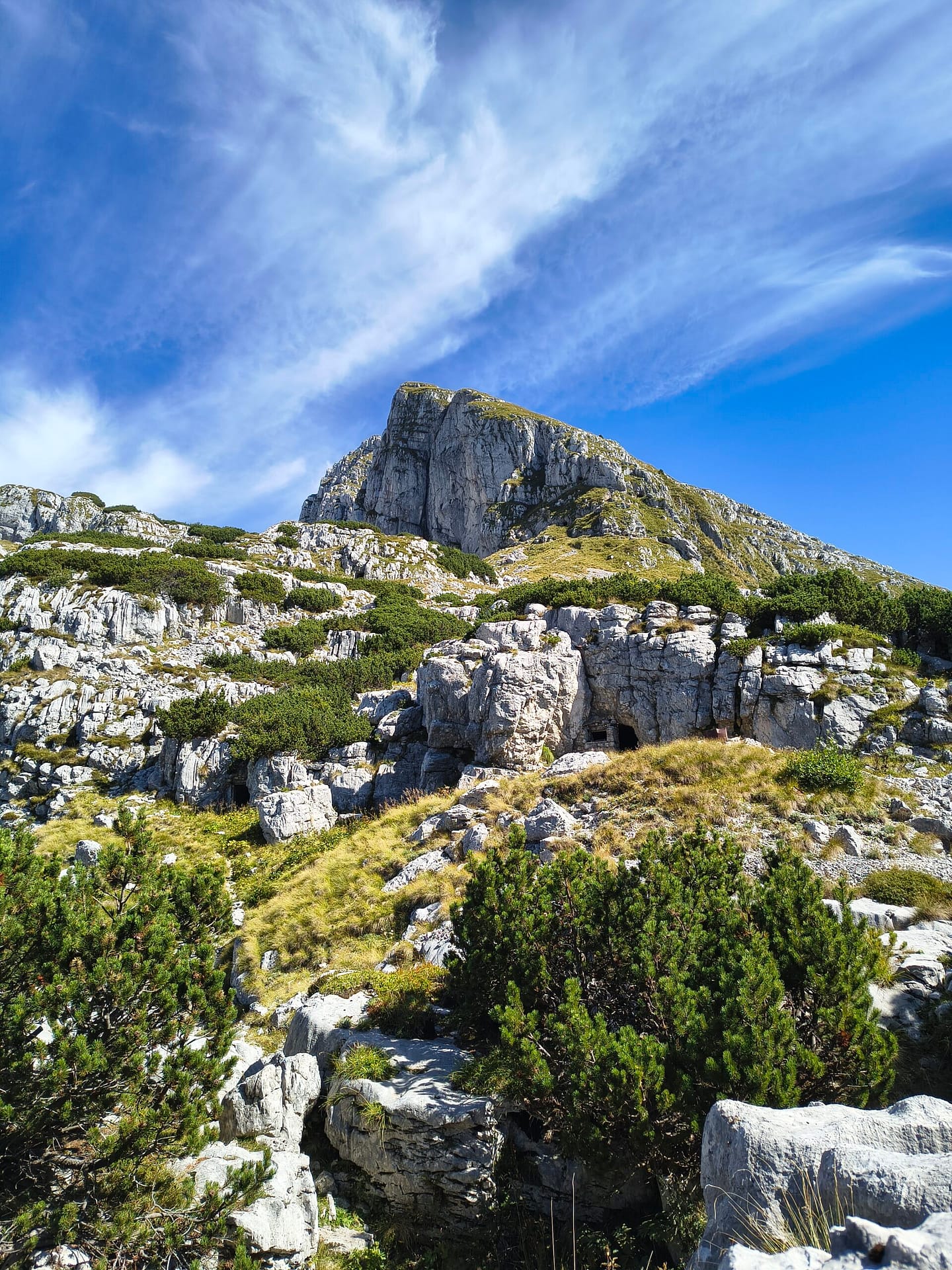 You are currently viewing Rombon